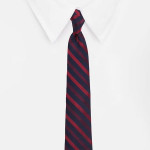 Navy Blue & Red Striped Broad Tie